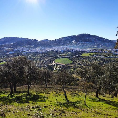 Casa Rural El Trepador Azul Cabeza la Vaca Eksteriør billede
