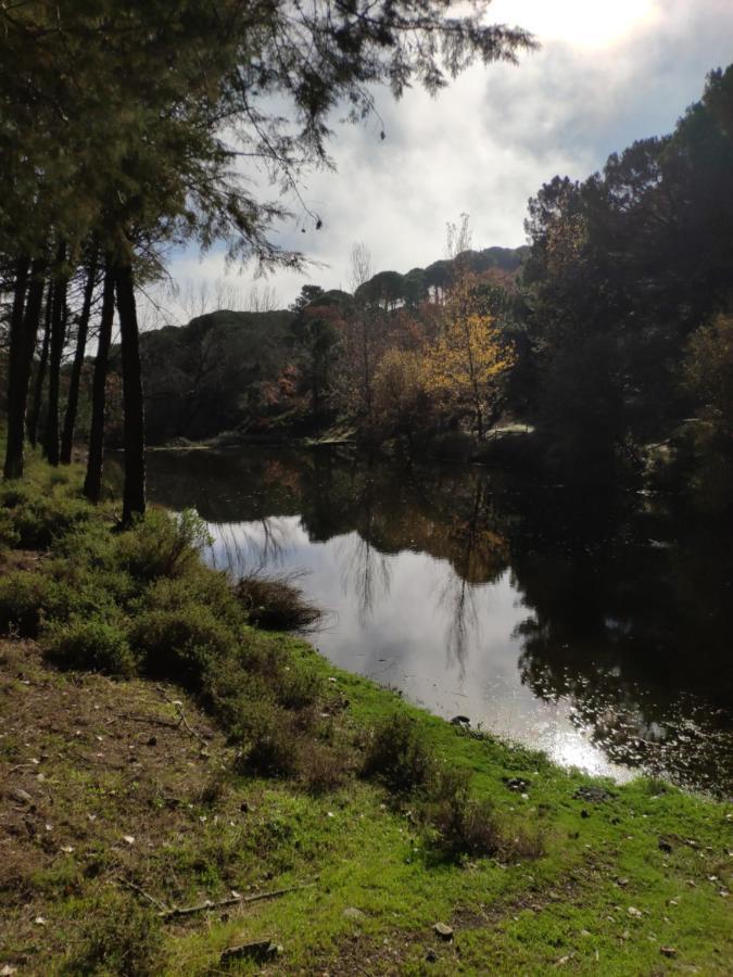 Casa Rural El Trepador Azul Cabeza la Vaca Eksteriør billede