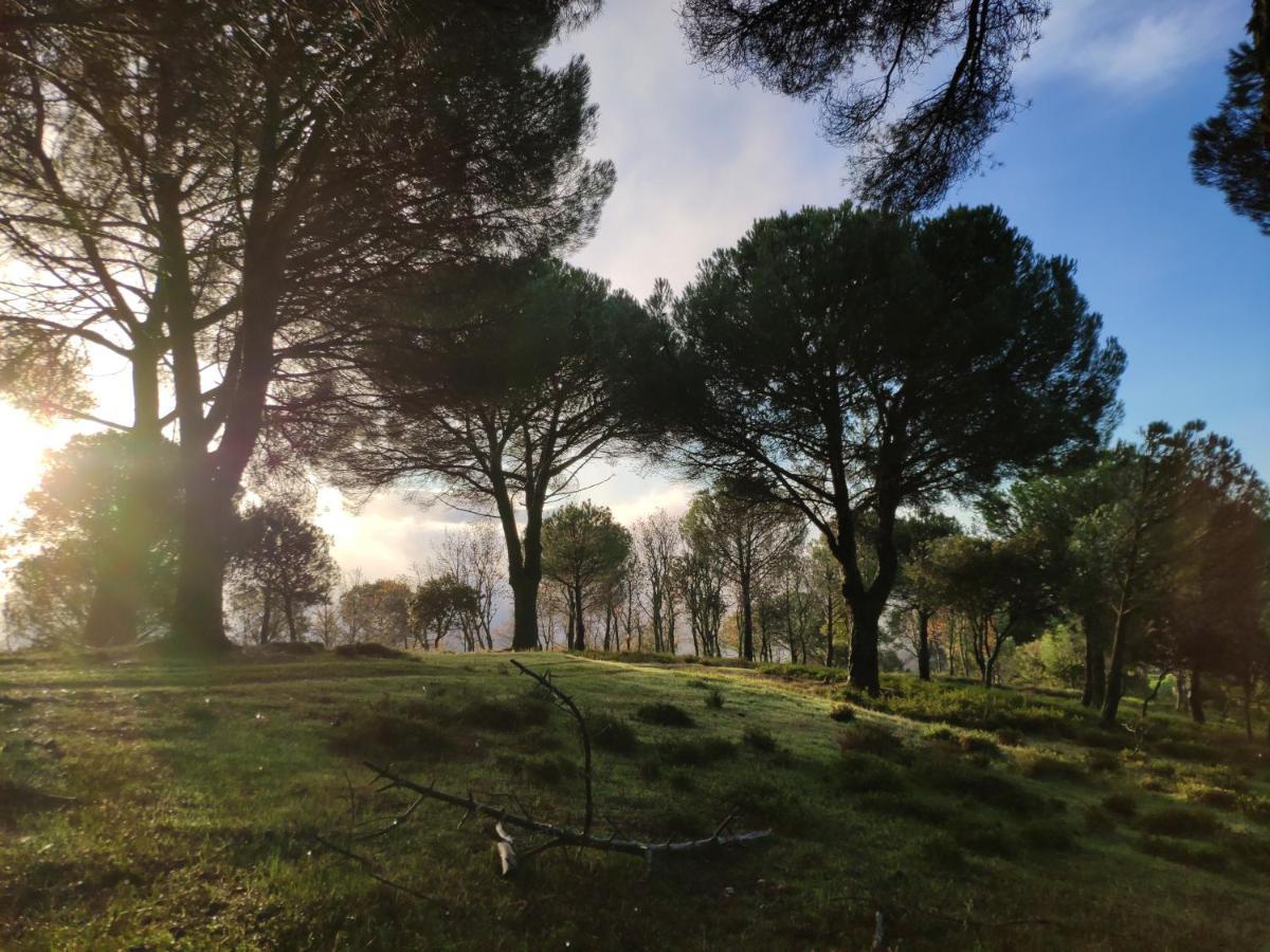 Casa Rural El Trepador Azul Cabeza la Vaca Eksteriør billede